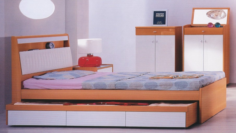 BED WITH A LOWER PULL OUT BED